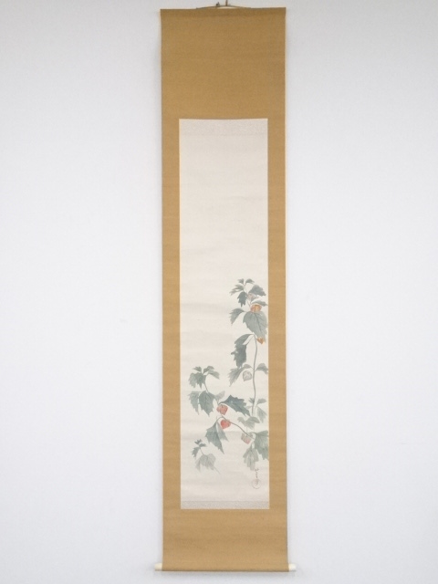 JAPANESE HANGING SCROLL / HAND PAINTED / WINTER CHERRY / BY HAKUTEI ISHII